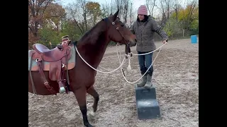 Teach Your Horse to Pick You Up at the Mounting Block