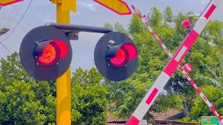 Railroad Crossing in Indonesia | Palang Pintu Kereta Api Unik 2024