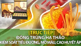 Đông trùng hạ thảo: Kiểm soát tiểu đường, mỡ máu, cao huyết áp | Sức khỏe vàng VTC16