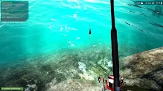 Ultimate Fishing Simulator #4 Байкальский осетр