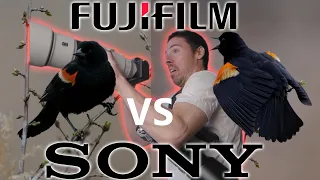 Sony 200-600mm vs Fuji 100-400mm (Pros & Cons to Full Frame)