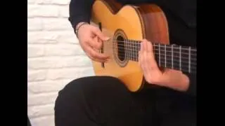 Flamenco-Anirsalar Abdolhai(Abanico)(www.Facebook.comAmirsalarabdolhaiofficial)