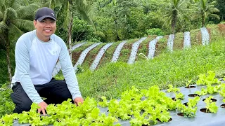 NASA CANADA, BAKIT PILIT NAG PA-FARMING sa PINAS KAHIT LAGING TALO! KUNG IKAW? ITUTULOY MO BA?