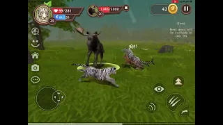 Destroying the ancient moose in wild craft