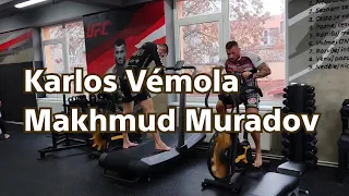 Hard training 💪 Karlos Vémola and Makhmud Muradov in Monster Gym Prague, CZ 🇨🇿