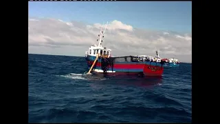 Film  vidéo de pêche: Les algues de Molène   En mer d'Iroise, la récolte  par les goémoniers.