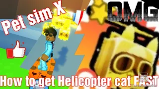 How to get a Helicopter Cat FAST [Pet Sim X]
