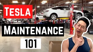 Does TESLA Require Maintenance? Everything you need to know! (Quick Tip)