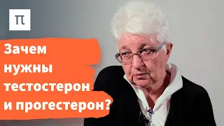 Половые железы – Ольга Смирнова / ПостНаука