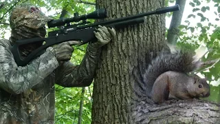 Airgun Hunting:How to Hunt Squirrels with an Air Rifle