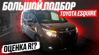 БОЛЬШОЙ автоподбор МИНИВЭНА TOYOTA: Noah, Voxy или Esquire!? Обзор ЦЕН! Авторынок "Зелёный угол"!