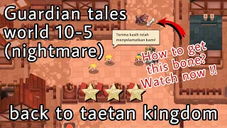 back to taetan kingdom | Guardian tales nightmare world (10-5)