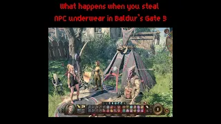 What happens when you steal NPC underwear in Baldur’s Gate 3? #baldursgate3