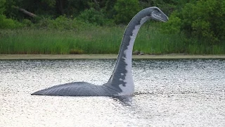 Top 10 AMAZING LOCHNESS MONSTER FACTS || The Loch Ness Monster - was it killed?