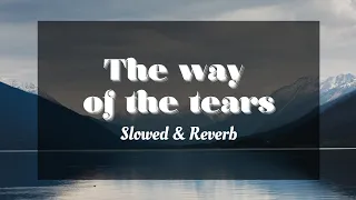 THE WAY OF TEARS - (SLOWED+REVERBED) - MUHAMMAD AL MUQIT ARABIC+ENGLISH