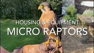 FALCONRY: Micro Raptors; housing and furniture