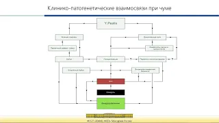 Современное представление о клинике,диагностике,лечении чумы. Вопросы организации медицинской помощи