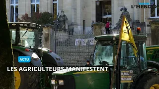 📹 LES AGRICULTEURS MANIFESTENT