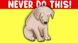 12 Things You Should NOT Do With Your Dog