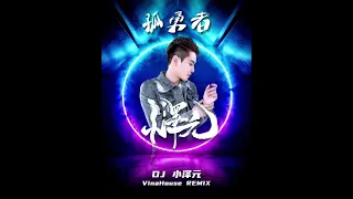 陳奕迅 - 孤勇者 ( DJ 小澤元 Vina House REMIX )