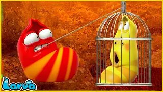 LARVA | VOLCANO | CARTOON MOVIE FOR LIFE |THE BEST OF CARTOON | HILARIOUS CARTOON COMPILATION