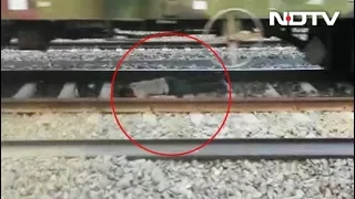 Watch: Miracle man walks away unhurt after a goods train passes over him