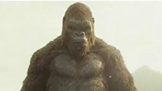 Kong 2005 vs Kong 2017 vs Kong 2021 vs Kong 1962 vs Kong 1933