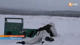 Более 500 военнослужащих арктической мотострелковой бригады приняли участие в боевых стрельбах