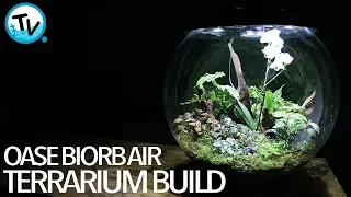 Biorb Air Terrarium Build