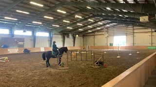 Working Equitation Ease of Handling - Novice A (2023 June)