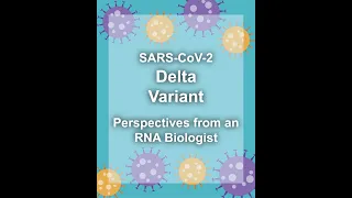 SARS-CoV-2 Delta Variant Explained