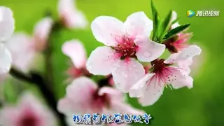 《三月桃花雨》童麗