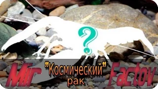 Редкий «космический» рак