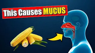 TOP 10 Foods That Cause MUCUS Build Up To Avoid