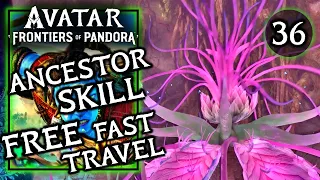 Avatar Frontiers of Pandora - Free Fast Travel, Ancestor Skill - Gameplay Walkthrough Part 36