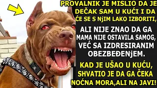 PIT BUL POSTAO PRAVI HEROJ NAKON ŠTO JE ODBRANIO DEČAKA (9) OD OPASNOG PROVALNIKA OSUMNjIČENOG ZA...