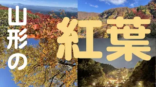 山形の【紅葉】をまとめてみた。月山、天童の舞鶴山公園（もみじ園）、瀧山の紅葉です。山形の景観