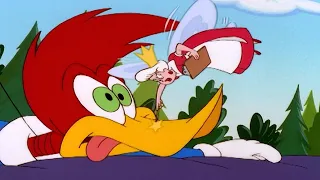 Woody gets in trouble with the termites | Woody Woodpecker