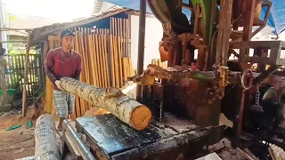 waw amazing hampir tak tersisa sampai kulit perajangan kayu mahoni super kecil