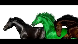 [NO MASON RAMSEY] Lil Nas X - Old Town Road (Remix) ft. Billy Ray Cyrus & Young Thug