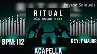 Tiësto, Jonas Blue & Rita Ora - Ritual (Acapella)