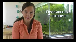 Why Do Not Grow Aquarium - Plants. Main Reasons