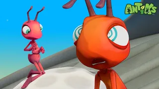 All in the Mind 🤪 | ANTIKS 🐜 | Old MacDonald's Farm | Animal Cartoons for Kids