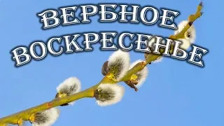 Вербное воскресенье. Суть праздника, приметы, суеверия.