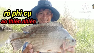 Trải nghiệm câu cá rô phi ao thiên nhiên khu công nghiệp _ Lê Lên vlog