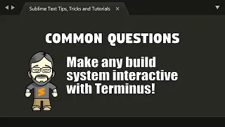 [CQ32] Make any build system interactive with Terminus!