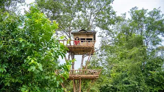 Girl Living Off The Grid, Build The Secret Story Tree House in The Wild