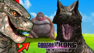 Rating Your Godzilla X Kong Memes