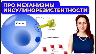 ИНСУЛИНОРЕЗИСТЕНТНОСТЬ. Что это такое?  Чем опасно? Кто в зоне риска? Как проверить?