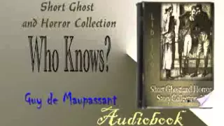 Who Knows Guy de Maupassant Audiobook